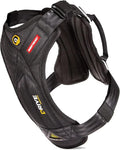 EzyDog Drive Dog Car Harness, Crash Tested and Certified - Medium | US-FMVSS 213 Certified Dog Seat Belt Harness, Adjustable, Padded Comfort Chest Plate, Dual Metal SR Buckles
