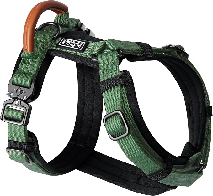 MADE TO ROAM Premium Explorer Harness - Y-Shaped Dog Harness with Adjustable Durable Nylon, Soft Padding, Metal Buckles and Leather Handle for Small, Medium, Large Dogs (Oregon Haze, Size 2)