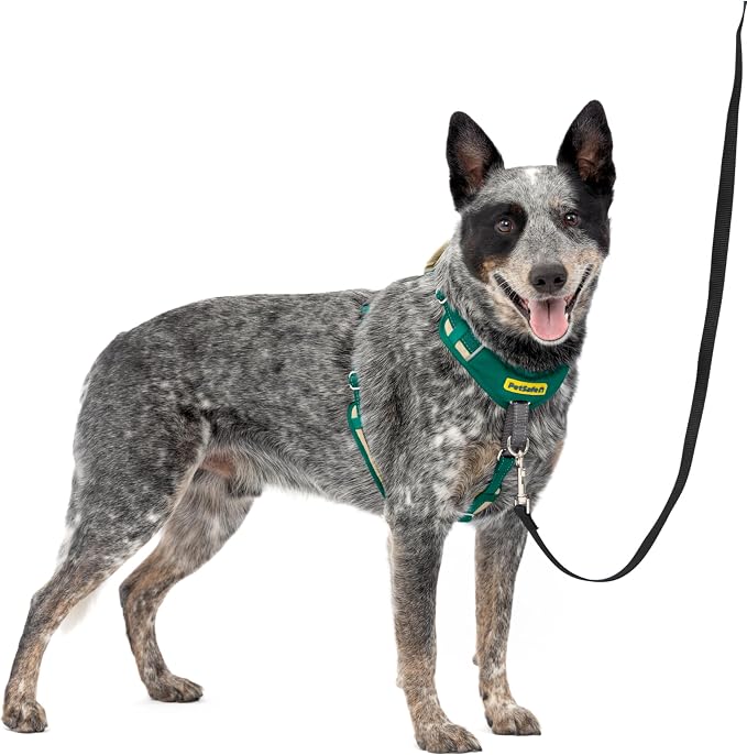 PetSafe Easy Walk Comfort No Pull Dog Harness, Green, Medium | Stops Pulling on First Use with Front Martingale Loop, Full-Body Padding, 5-Point Adjustable Fit