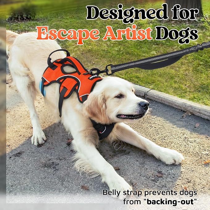 rabbitgoo Escape Proof Dog Harness for Large, No Pull with Lift Handle | No Escape, Full Soft Padded, Reflective Adjustable Vest, Leash Clip for Walking Hiking Training, Orange, Large