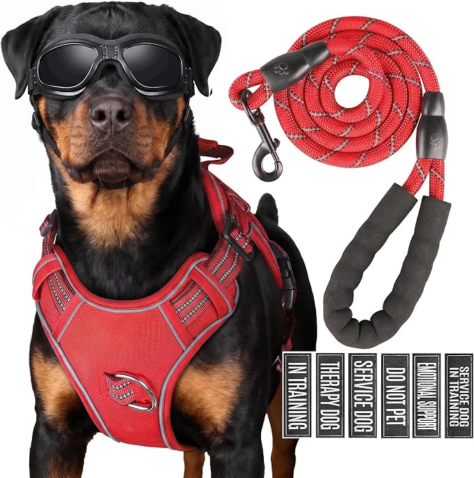 3-in-1 Dog Vest Harness Leash Set for Daily,Service,Training Animal Small