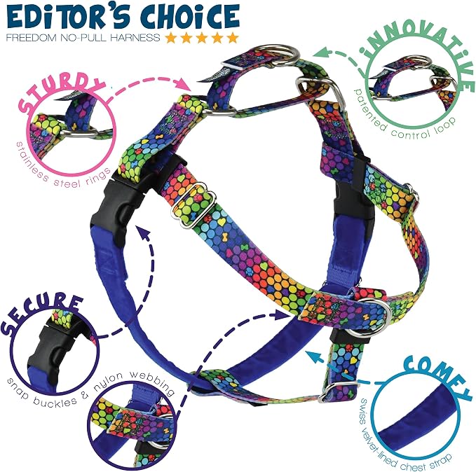 2 Hounds Design - Freedom No-Pull Harness & Training Leash in Blue and Rainbow | Dual Leash Loops, No Pulling on Walks | Lined to Prevent Chaffing | for Large Sized Dogs (Size M, Chest 24”- 28”)