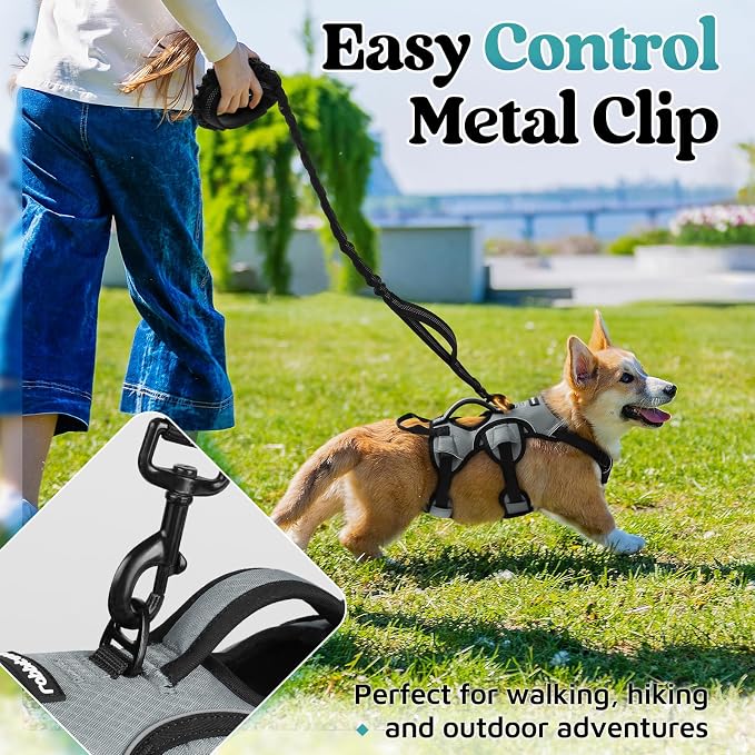 rabbitgoo Escape Proof Dog Harness for Small, No Pull with Lift Handle | No Escape, Full Soft Padded, Reflective Adjustable Vest, Leash Clip for Walking Hiking Training, Grey, Small