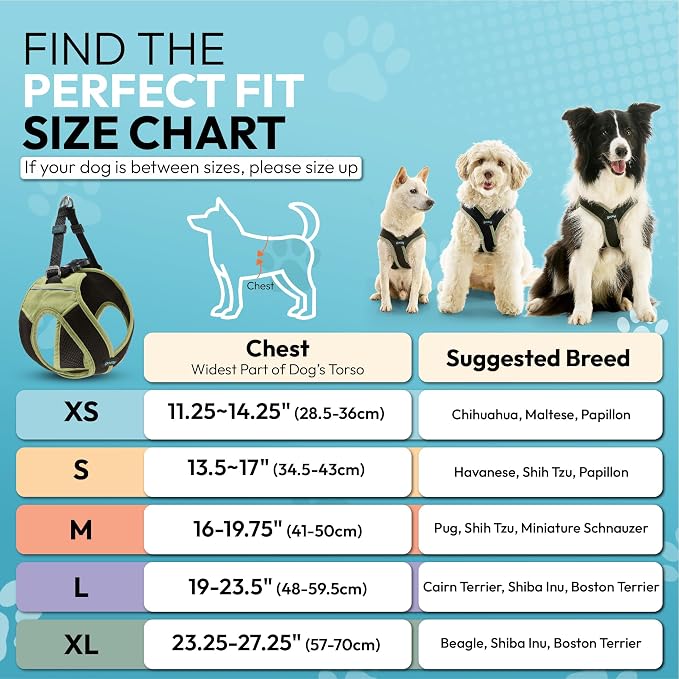 Gooby Escape Free Easy Fit X Step-in Dog Harness, Portland Green, Large | Patented escape-free, tightens on back-out; Choke-free X-frame + V-neck; Quick-release buckle; Reflective trim