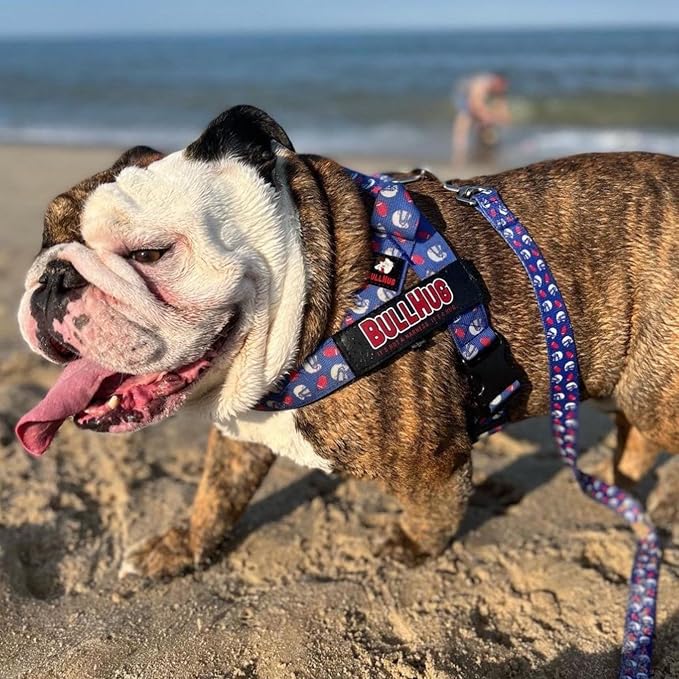 Adjustable Dog Harness– No Pull, No Choke – for English Bulldogs, French Bulldogs, Pugs & Broad-Chested Breeds – Easy, Safe Walks (Sky-Duck, XL)