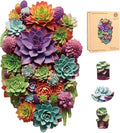 Delobil Puzzles for Adults with Puzzle Saver - Succulent Wooden Puzzle Gifts Unique Adult Jigsaw Puzzles Brain Teaser Family Game 200 Pieces 12.6" X 7.8"