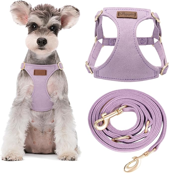 Puppytie Small Dog Harness and Leash Set, Light Purple, S (9-17.5 lbs) | Dog Harness Small Sized Dog, Dog Leash for Small Dogs, Soft and Lightweight, Puppytie Dog Harness for Daily Walks