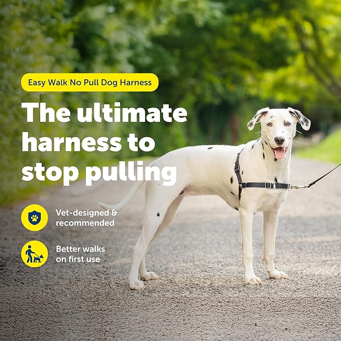 PetSafe Easy Walk Harness, No Pull Dog Harness, Charcoal Gray, Medium/Large | Patented Martingale Loop Gives Gradual Shoulder Pressure to Stop Pulling, Front-Chest Leash Clip Prevents Gagging