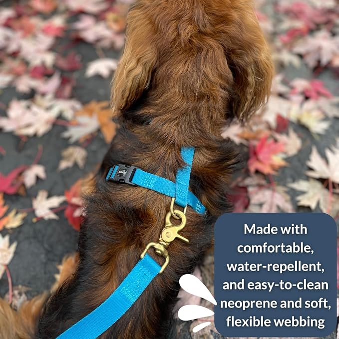 Adventure Dog Harness - Stylish & Durable Small Dog Harness for Outdoor Adventures and Everyday Wear - Pacific Blue Neoprene Adjustable Harness for Dogs with Reflective Piping, Brass D-Ring