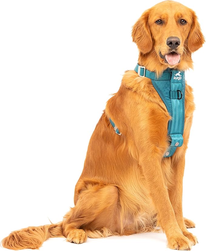 Kurgo Ink Blue Large Dog Harness - Crash Tested, All-Steel, Comfortable & Adjustable Animal Harness with Seat Belt Tether for Car Safety | Crash Tested Car Harness for Dogs up to 75Lbs, Seatbelt Tether & Steel Carabiner, All-Steel Buckles, Padded Chest...