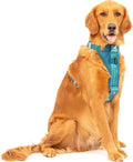 Kurgo Ink Blue Large Dog Harness - Crash Tested, All-Steel, Comfortable & Adjustable Animal Harness with Seat Belt Tether for Car Safety | Crash Tested Car Harness for Dogs up to 75Lbs, Seatbelt Tether & Steel Carabiner, All-Steel Buckles, Padded Chest...