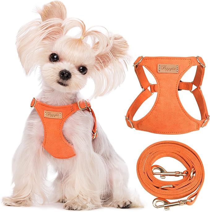 Puppytie XXS Puppy Harness and Leash Set, Orange, XXS (2.2–6 lbs) | Puppy Harness for Small Dogs, Teacup and Yorkie Harness, Soft Lightweight and Adjustable, XXS Dog Harness for Daily Walks