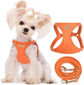 Puppytie XXS Puppy Harness and Leash Set, Orange, XXS (2.2–6 lbs) | Puppy Harness for Small Dogs, Teacup and Yorkie Harness, Soft Lightweight and Adjustable, XXS Dog Harness for Daily Walks