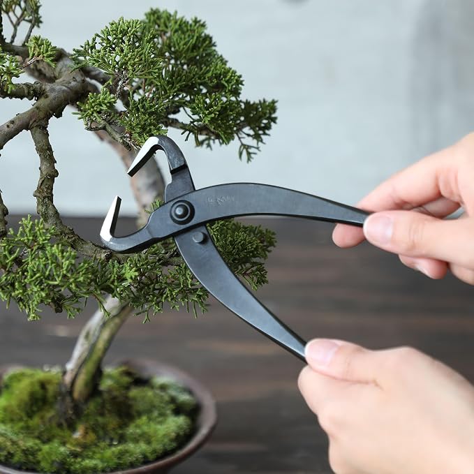 Wazakura Japan Hand Forged Bonsai Trunk Splitter 8.25" (210mm) - Japanese Carbon Steel Bonsai Tool for Controlled Trunk & Branch Splitting - Handmade in Sanjo, Niigata