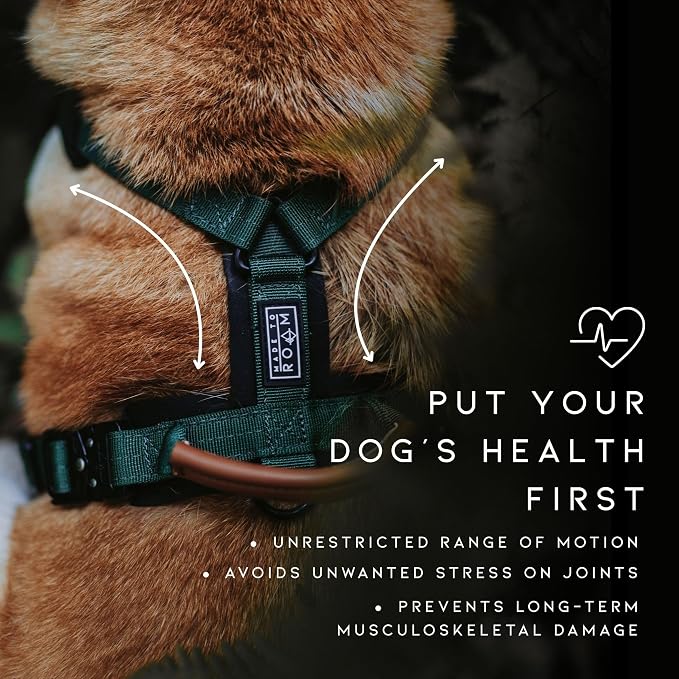 MADE TO ROAM Premium Explorer Harness - Y-Shaped Dog Harness with Adjustable Durable Nylon, Soft Padding, Metal Buckles and Leather Handle for Small, Medium, Large Dogs (Colorado Nightsky, Size 5)