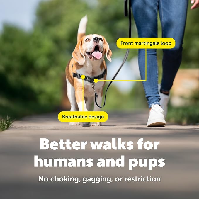 PetSafe Easy Walk Harness, No Pull Dog Harness, Red, Small/Medium | Patented Martingale Loop Gives Gradual Shoulder Pressure to Stop Pulling, Front-Chest Leash Clip Prevents Gagging