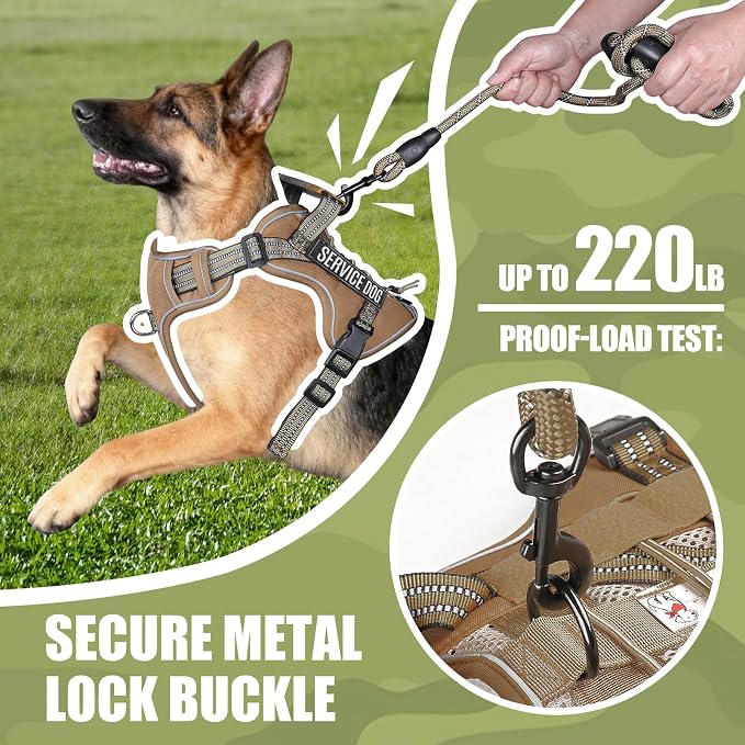 3-in-1 Dog Vest Harness Leash Set for Daily,Service,Training Animal Medium