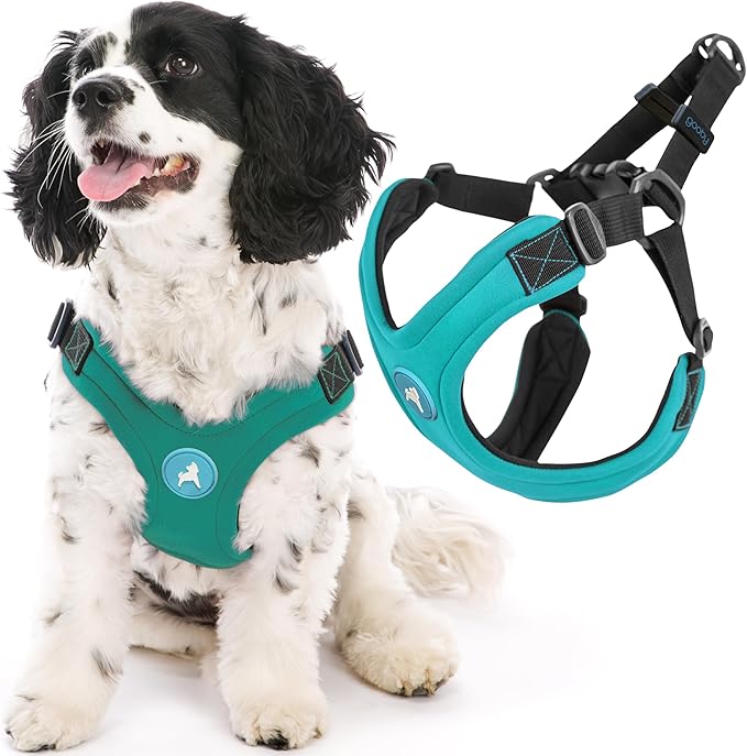 Gooby Escape Free Sport Dog Harness, Choke-Free, Turquoise, Small | Patented escape-free frame; Reduces choking; 4-point adjustment; Soft neoprene padding; Durable webbed straps