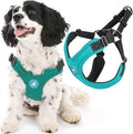 Gooby Escape Free Sport Dog Harness, Choke-Free, Turquoise, Medium | Patented escape-free frame; Reduces choking; 4-point adjustment; Soft neoprene padding; Durable webbed straps