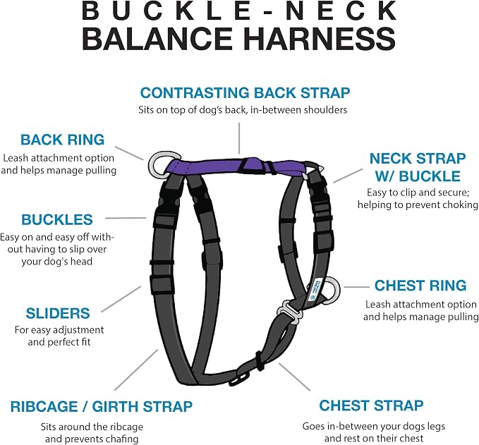 Blue-9 Buckle-Neck Balance Harness, Fully Customizable Fit No-Pull Harness, Ideal for Dog Training and Obedience, Made in The USA, Purple, Medium