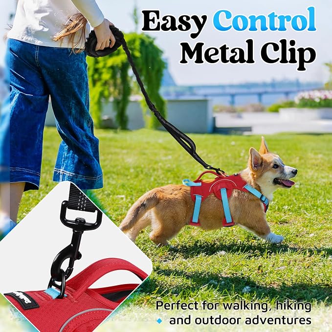 rabbitgoo Escape Proof Dog Harness for Small, No Pull with Lift Handle | No Escape, Full Soft Padded, Reflective Adjustable Vest, Leash Clip for Walking Hiking Training, Sky Blue & Red, Small