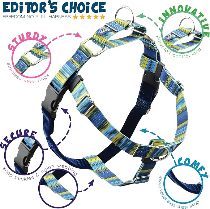 2 Hounds Design - Freedom No-Pull Harness & Training Leash in Blue and Green | Dual Leash Loops, No Pulling on Walks | Lined to Prevent Chaffing | for Large Sized Dogs (Size L, Chest 28”- 32”)