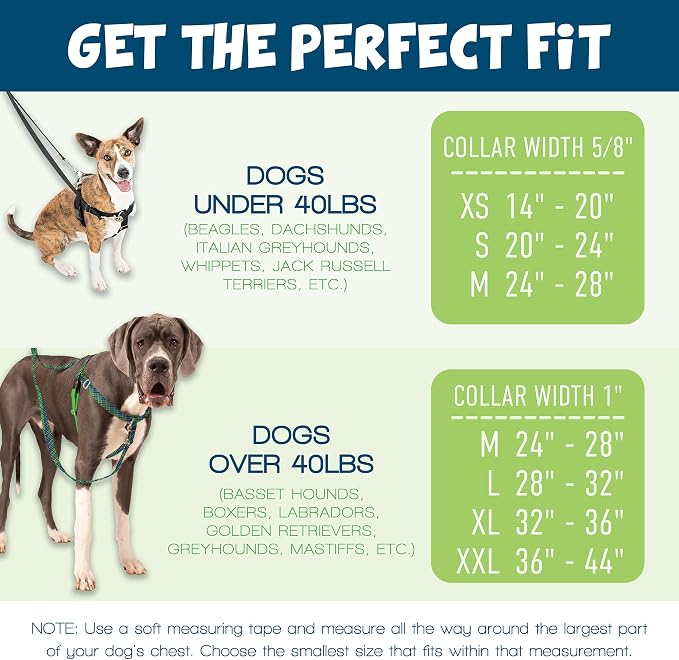 2 Hounds Design Freedom No Pull Dog Harness and Leash, 1" XXL, Burgundy | Promotes Easy Walking & Comfortable Control, Secure Fit, Adjustable Harness and Leash Set for XXL Sized Dogs, Made in USA