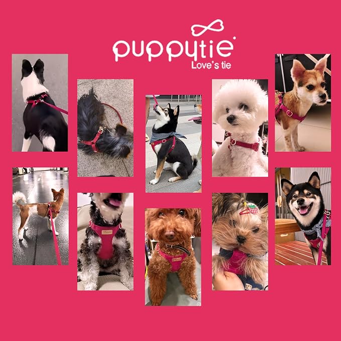 Puppytie Small Dog Harness and Leash Set, Red, S (9-17.5 lbs) | Dog Harness Small Sized Dog, Dog Leash for Small Dogs, Soft and Lightweight, Puppytie Dog Harness for Daily Walks