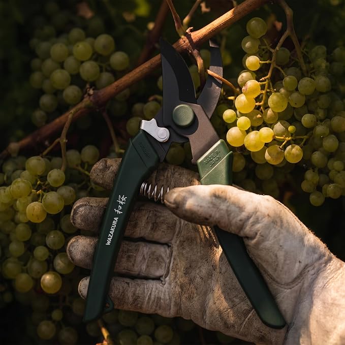 Wazakura Black Blade Pruning Shears - Carbon‑Reinforced Fluorine Coated, Ultra‑Sharp Clean Cuts for Flowers & Branches up to 1cm, Japanese Professional Garden Shears