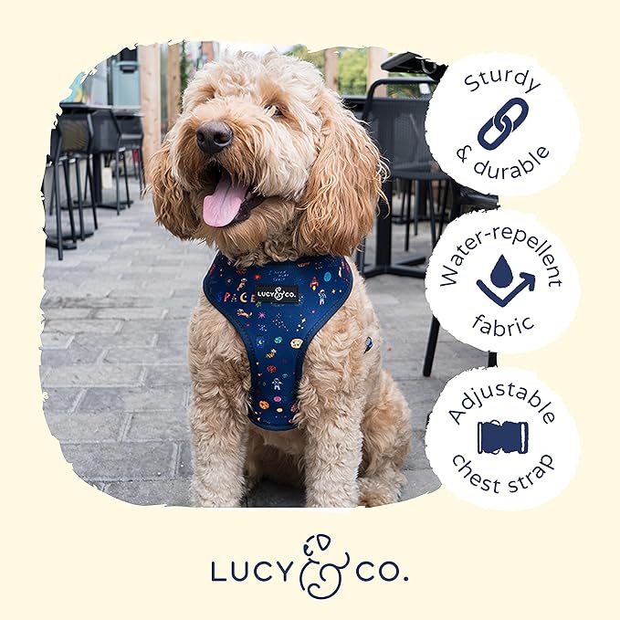 Lucy & Co. Reversible Dog Harness - Water-Repellent Neoprene, Dual-Print Design, Easy Swap Style, Adjustable Comfort Fit - Space Doodle Reversible Harness - Small