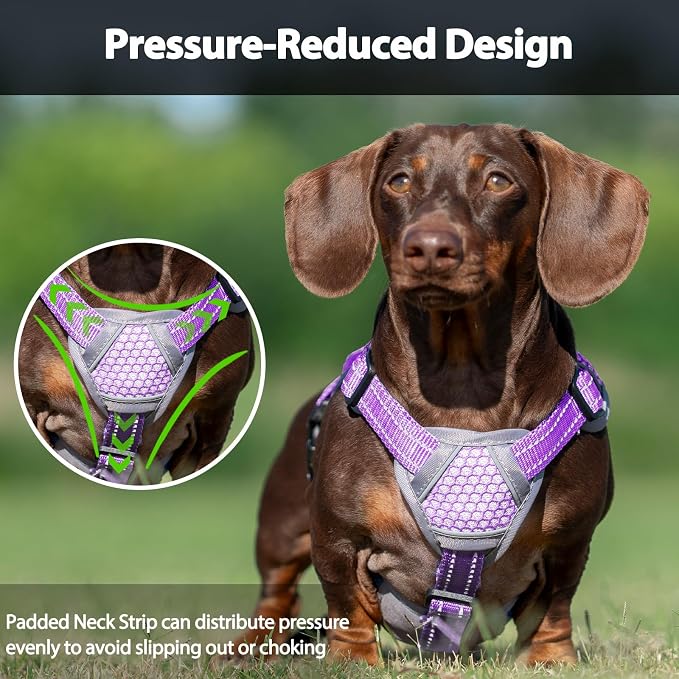 Escape Proof Dog Harness, Dachshund Harness, Reflective Dog Harness with Handle, Durable,Adjustable Vest for Small Medium Large Dogs Walking, Training, and Running Gear (Lavender Purple,XL)