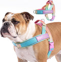 Spark Paws No Pull Front Clip Dog Harness - Easy On, Padded and Lightweight | Two Clips, On in Seconds, Chest Bearing, Australian Style, No Throat Pressure, for Small Medium and Large Breeds