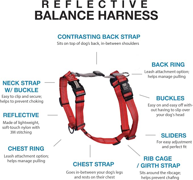 Blue-9 Reflective Buckle-Neck Balance Harness, Fully Customizable Fit No-Pull Harness with 3M Reflective Stitching, Ideal for Dog Training and Obedience, Made in The USA, Red, Small