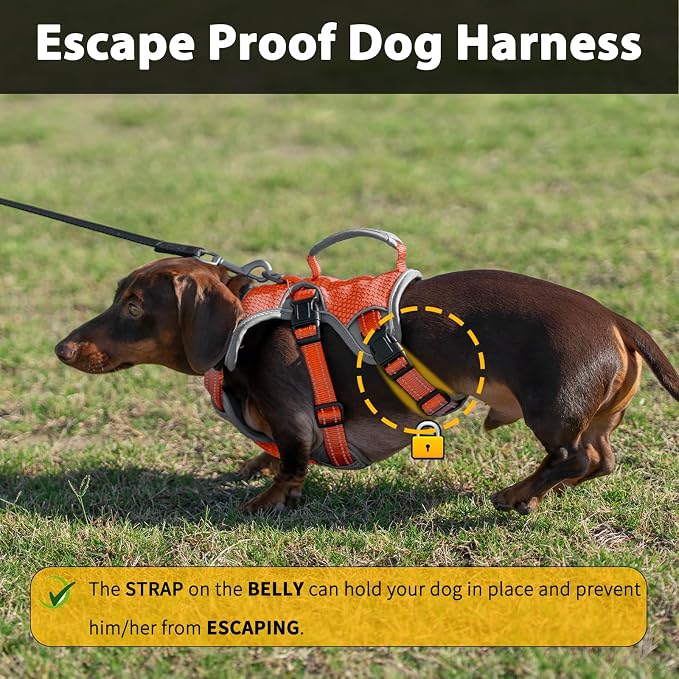Escape Proof Dog Harness, Dachshund Harness, Reflective Dog Harness with Handle, Durable,Adjustable Vest for Small Medium Large Dogs Walking, Training, and Running Gear (Orange,L)