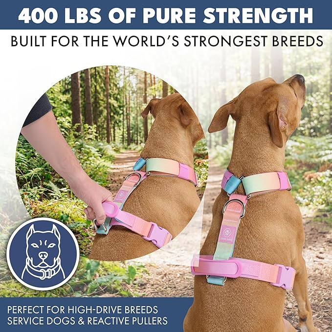 Spark Paws Comfort Control No Pull Dog Harness - Heavy Duty Front Clip | Safety Tested for Strong Breeds, w/ Metal Buckle & Top Handle – Padded Y-Straps Redirect Pulling. Solo or Matching Leash Set