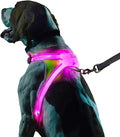 noxgear LightHound Light Up Reflective Dog Harness, Small | 360° Light Up Reflective Dog Harness, 8 Colors & 6 Modes, USB Rechargeable, Adjustable, Rainproof, LED Fiber Optic