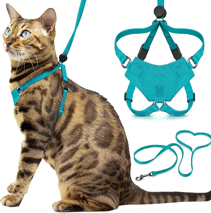 Houdini™ Escape Proof Cat Harness and Leash (Turquoise, M/L) | Adjustable walking vest with 6ft lead, breathable mesh, secure snug fit, lightweight for travel, hikes and daily adventures