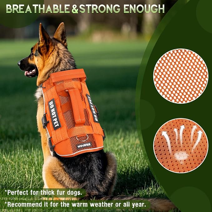 Tactical Molle Vest Mesh Dog Harness with 10 Removale Pet Patches | Breathable Service Dog harness with Double Soft Padded Handle for Medium Dog, Reflective Military Pet Vest for Walk Hiking