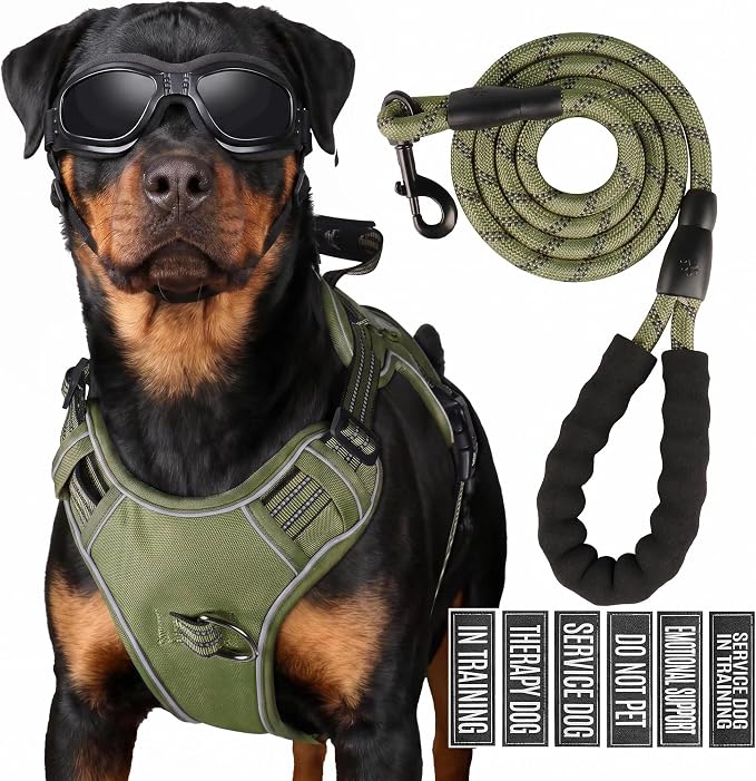 3-in-1 Dog Vest Harness Leash Set for Daily,Service,Training Animal X Large
