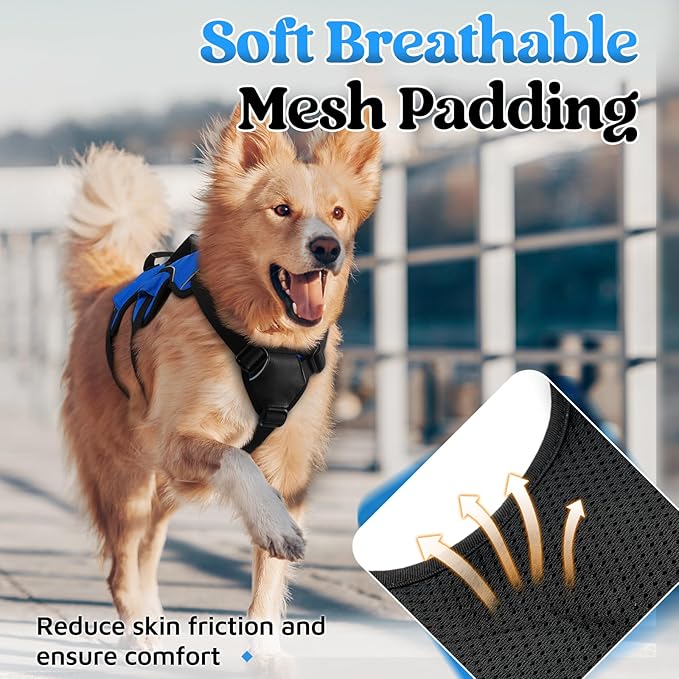 rabbitgoo Escape Proof Dog Harness for Large, No Pull with Lift Handle | No Escape, Full Soft Padded, Reflective Adjustable Vest, Leash Clip for Walking Hiking Training, Blue, Large