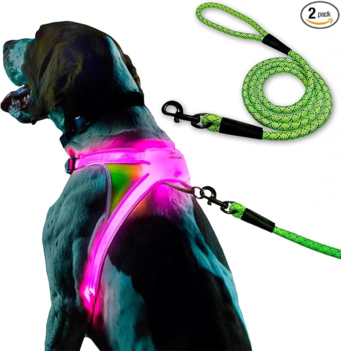 noxgear LightHound Light Up Reflective Dog Harness and Leash, Small | 360° Light Up Reflective Dog Harness, 8 Colors & 6 Modes, USB Rechargeable, Adjustable, Rainproof, LED Fiber Optic