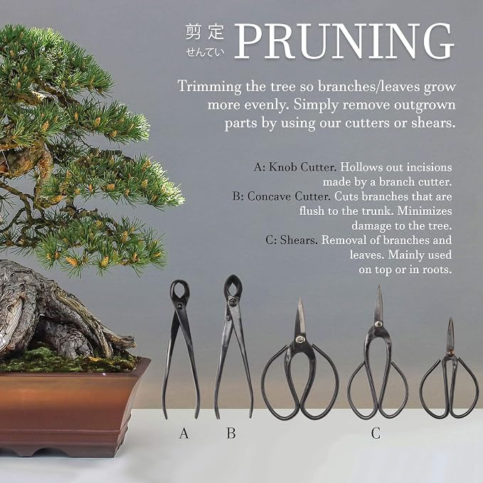 BambooMN 5 Piece Bonsai Sheal Tool Set, Concave Cutter, Knob Cutter, Bonsai Trimming, Beginner Friendly - 1 Set