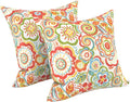 LVTXIII Outdoor Throw Pillows, Decorative Throw Pillows with Inserts, 20"x20" Square Pillows for Bed, Couch, Sofa and Patio Furniture, Set of 2, Flower Multi