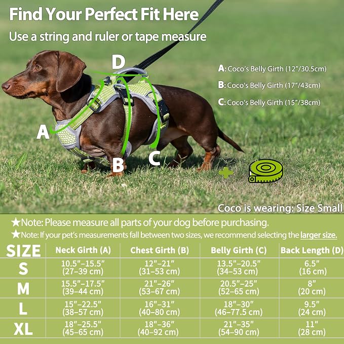 Escape Proof Dog Harness, Dachshund Harness, Reflective Dog Harness with Handle, Durable,Adjustable Vest for Small Medium Large Dogs Walking, Training, and Running Gear (Green,XL)