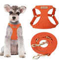 Puppytie Small Dog Harness and Leash Set, Orange, S (9-17.5 lbs) | Dog Harness Small Sized Dog, Dog Leash for Small Dogs, Soft and Lightweight, Puppytie Dog Harness for Daily Walks