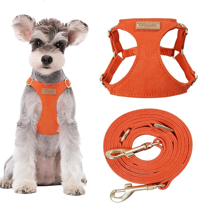 Puppytie Dog Harness and Leash Set, Orange, M (16.5-31 lbs) | Harness Small Size Dog, Dog Leash for Small Dogs, Soft Lightweight and Adjustable, Small Dog Harness for Daily Walks