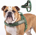 Spark Paws No Pull Front Clip Dog Harness - Easy On, Padded and Lightweight | Two Clips, On in Seconds, Chest Bearing, Australian Style, No Throat Pressure, for Small Medium and Large Breeds