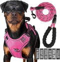 3-in-1 Dog Vest Harness Leash Set for Daily,Service,Training Animal X Large