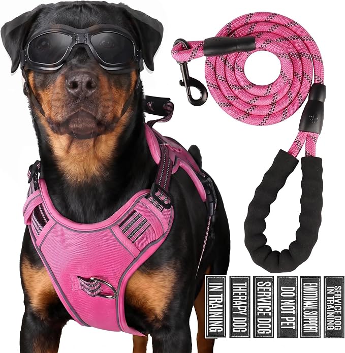 3-in-1 Dog Vest Harness Leash Set for Daily,Service,Training Animal X Large