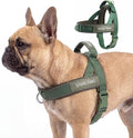 Spark Paws No Pull Front Clip Dog Harness - Easy On, Padded and Lightweight | Two Clips, On in Seconds, Chest Bearing, Australian Style, No Throat Pressure, for Small Medium and Large Breeds